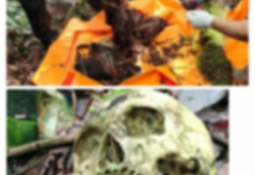 Tengkorak Manusia Ditermukan di Hutan Register Kuta Mbelin