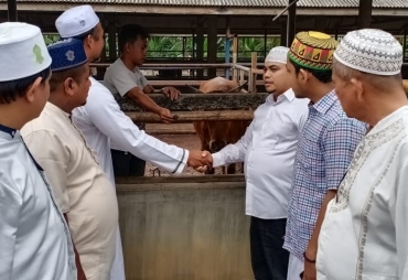 Peringati Maulid Nabi Muhammad SAW Anggota DPRK PKS Sumbangkan Lembu