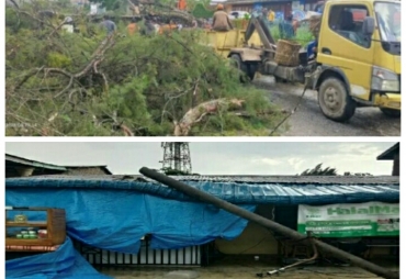 Hujan Deras Disertai Angin Kencang Tumbangkan Pohon dan Tiang Listrik di Sidikalang
