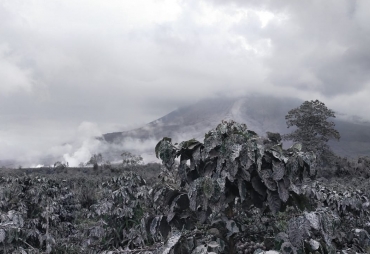 Erupsi Sinabung Dan Gempa Landa Tanah Karo