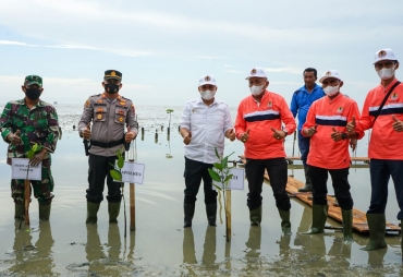 Peringati HLH Bupati Batu Bara Tanam 3100 Mangrove di Pantai Sejarah