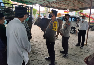 Kapolres Tanah Karo Serahkan Hewan Qurban Ke Masjid Agung