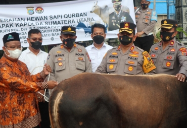 Kapolres Batu Bara Salurkan Sapi Qurban Ke Pesantren Guntur Kedai Sianam