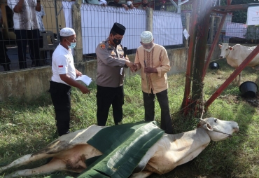 Idul Adha 1442 H Polres Batu Bara Sembelih 10 Ekor Hewan Qurban 