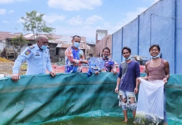 Rutan Kabanjahe Panen Ikan Nila Dengan Metode Bioflog