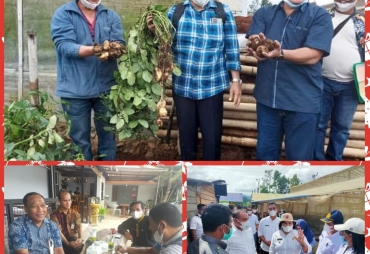 Gubsu Edy Rahmayadi Apresiasi Tanaman Kentang di Tanah Karo