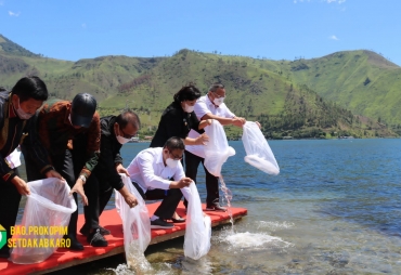 Bupati Karo dan Komisi IV DPR RITabur 65 Ribu Bibit Ikan Ke Kawasan Danau Toba Tongging