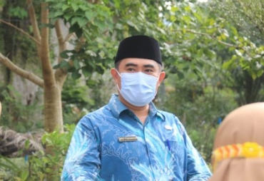 Cuaca Ekstrem Ini Strategi DLH Terkait Insiden Pohon Tumbang