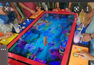 Judi Ikan-ikan Di Wilayah Hukum Polsek Torgamba Resahkan Masyarakat 