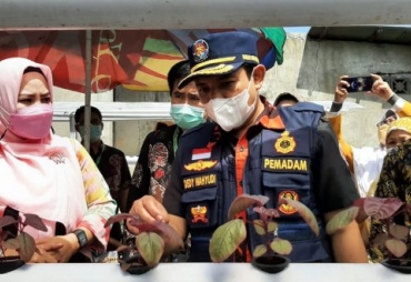 Paket Lengkap Kampung Berseri Anggut Atas Wawali : Ada Bank Sampah dan Hidroponik
