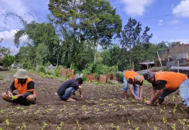 SAE Rutan Kelas IIB Kabanjahe Tanam Seledri