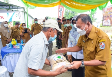 Bupati Deli Serdang Hadiri Panen Raya Desa Suka Mandi Hulu