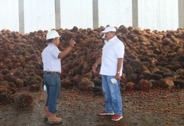 Bupati BU Sidak Terkait Harga TBS Anjlok, PKS Bisa Disanksi Tegas