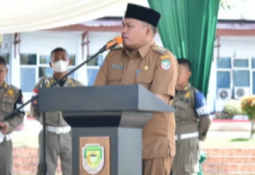 Bupati Erwin Buka Kontes Mobil Dinas