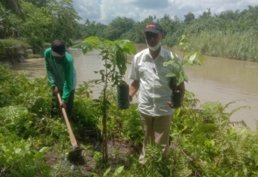 PTPN III Kebun Sei Silau Distrik Asahan Konsisten Pelihara Daerah Aliran Sungai