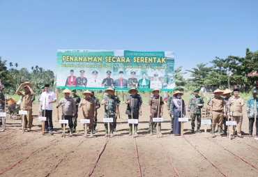 Penanama Serentak Pemanfaatan Lahan Tidur Bi Wilayah Kodim 0425/Seluma Oleh Forkopimda Kabupaten Seluma ( foto : MC Seluma )