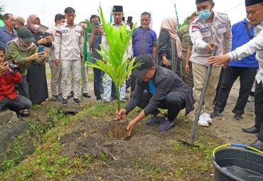 Bupati Batu Bara Ir. Zahir saat menanam pohon pinang di Desa Simodong, Kecamatan Medang Deras (foto: istimewa)
