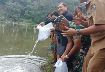 Bupati Karo tabur bibit ikan nila