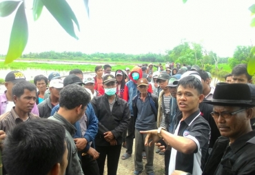 Kondisi Lahan Sawah Seluas kurang Lebih 60 Hektar