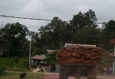 Tampak Mobil truk sedang mengangkut Kayu Balok