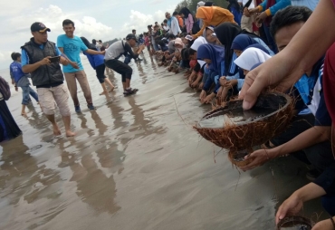 Sebanyak 500 tukik dilepaskan 