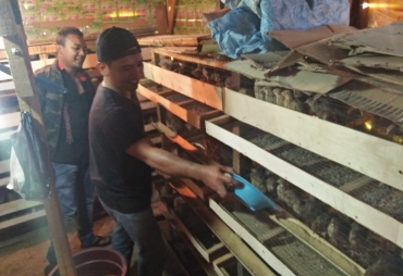 Proses Pemberian Makan