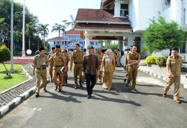 Tampak