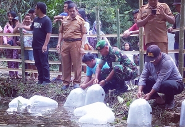Kadis Perikanan Ir Metehsa Purba bersama Muspika Kecamatan Simpang Empat Danramil Kapten Kav J Surbakti di dampingi Kepala Desa Sirumbia Arijona Sitepu, BPD, Prangkat Desa, Karang Taruna dan sejumlah warga
