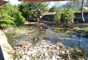 Tampak