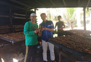 Ikan Salai Patin Menjadi Peluang Menjanjikan