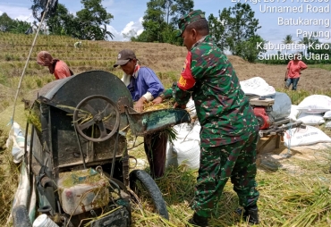 Babinsa Koramil 05/Payung Bantu Petani Desa Batukarang  Panen Padi