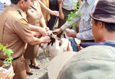 Serah terima hibah 30 ekor pejantan kambing  Boerka kepada Distan Karo. (TO/ist)