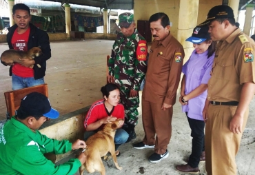 Vaksinasi Rabies Serentak Di Karo