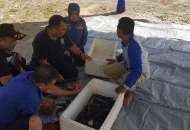 Sambut Launching Kota Hadist Personil Damkar Gotong Royong Bersihkan Ikan Lele