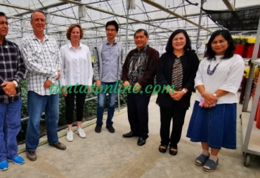 meninjau Green house Bunga Krisan