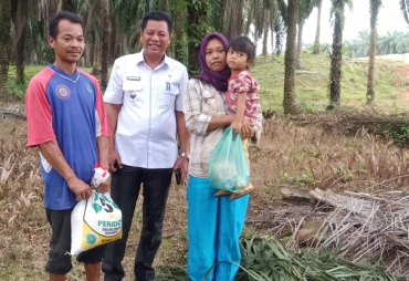 Camat Rantau Utara Blusukan ke Perkebunan Sawit