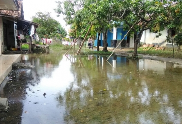 Tampak Genangan Air masih merendap Sekitar Rumah Warga