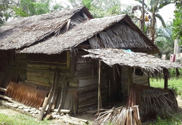 Ketgam, gubuk reok Nanas yang hidup sebatang kara (yatim piatu)